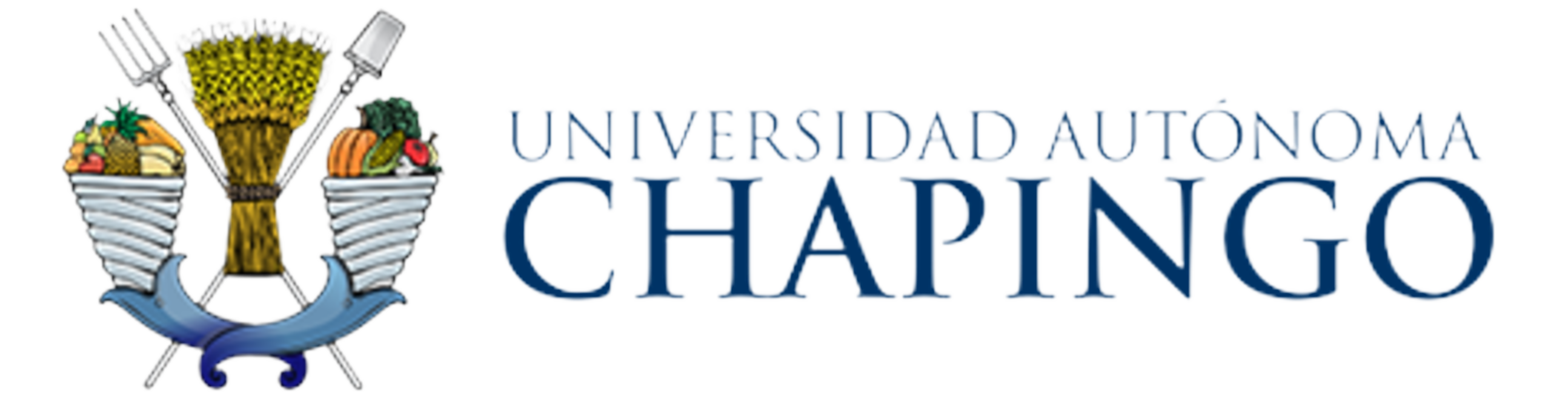 Bachelor in International Trade