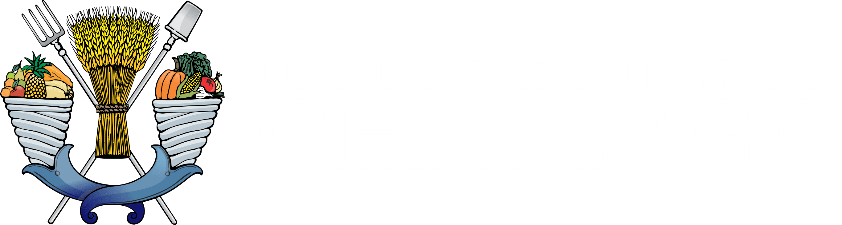 Bachelor in International Trade